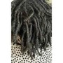 Deep Conditioning Treatment Locs (short)