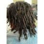 Deep Conditioning Treatment Locs (short)