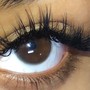 Volume lashes