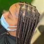 Medium tribal braids w/knotless (midback)