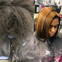 Root Touch Up