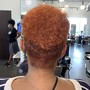 Root Touch Up