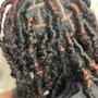 Locs starter on hair  longer than nape