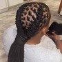 Feed-In Braids