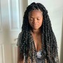 Passion Twists (medium mid back length )