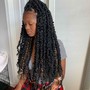 Passion Twists (medium mid back length )