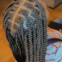 Kids Braids