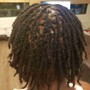 Half/head  Wash and Retwist