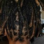 Half/head  Wash and Retwist