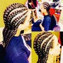 Feeder  Braids