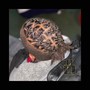 Feed-In Braids