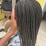 Box Braids