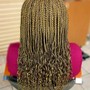 Tree Braids