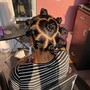 Bantu Knots