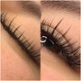 Wet Lash Full Set