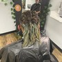 Root Touch Up