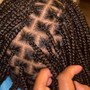 Kinky Twist/senaglese twists