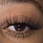 Bottom lashes