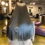 Root Touch Up