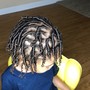 Two strand starter locs