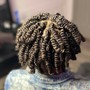 Natural Coils (Mid Length)