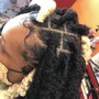 Large Feed-in Ponytail/bun