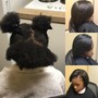 Relaxer Touch-up /Trim