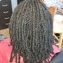 Small Kinky Twist, Nubian, Spring or Afro Twist