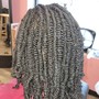 Small Kinky Twist, Nubian, Spring or Afro Twist