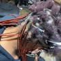 Large knotless braids