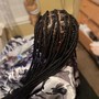 Box Braids (JUMBO)