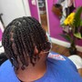 Natural Hair Twists/Braids