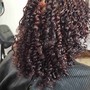 Natural Two-Strand Twist with Shampoo and Conditioner - short to medium-length hair