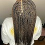 Individual Braids