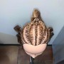 Large Goddess Braids