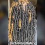 Starter Locs - Interlocked (Root Only)