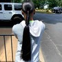 Sleek High or Low Ponytail