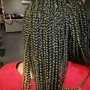 Tree Braids