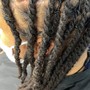 Loc retwist