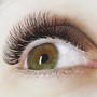 Lash Extensions (Full Set)