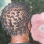 Comb Twist