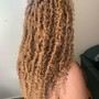 Butterfly locs - mid-back length