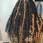 Butterfly locs - mid-back length