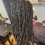 Mini Twists (hair provided) read description