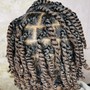 Natural Twists full head