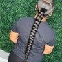 Sleek Braid Ponytail