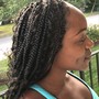 Two strand Twist half head