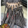 Marley Locs over Starter Locs