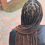 Tree Braids