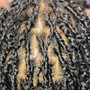 Two strand starter locs